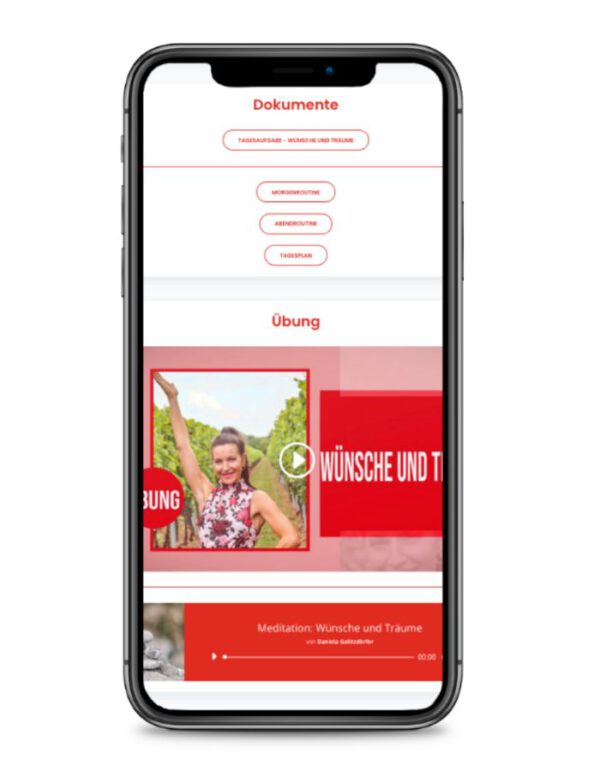 Das Denk Dich Schlank Online-Programm – Bild 7